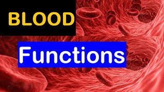 6 Functions of blood  Explained in 1 min [upl. by Domash160]