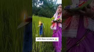 kati bihuassamesesong bihu reels [upl. by Berhley]