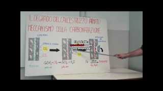 Carbonatazione del cls  carbonation of concrete  video 06 [upl. by Nakashima]