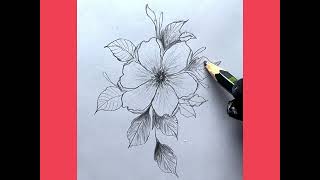 Flower drawing tutorial for beginners pencil sketch [upl. by Ezmeralda]