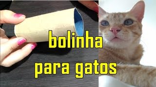 Dicas Animais  Brinquedos para gatos  Bolinha com rolinhos de papel higiênico [upl. by Ecinreb]