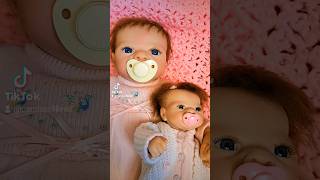 Reborn Baby Dolls Have 4 Moods 🫢 dolls dollcollector [upl. by Sivrahc743]