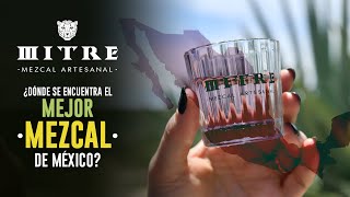 🤔¿Cuál es EL MEJOR mezcal de México  ¡Conoce los estados que lo producen 🇲🇽🐆 [upl. by Kan593]