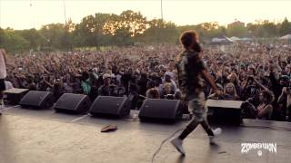 ZOMBiEVision Episode 1 Flatbush Zombies Headline NYC Summerstage 2013 [upl. by Eisned627]