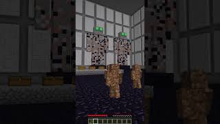 Minecraft cobblestones vs dirts raid [upl. by Thibaud]