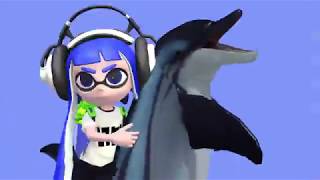 Splatoon Dolphin on wheels  meme MMD [upl. by Dorrehs]