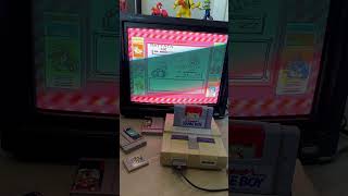 Squirtle vs Rattata in PokemonRed on SNES [upl. by Rialb]