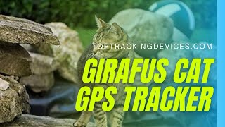 GIRAFUS CAT TRACKER  The Best GPS Tracker 2022Top Tracking Devices [upl. by Rutter998]