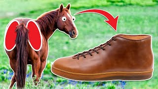 910 Why horse butt cheek sneakers cost [upl. by Cissy116]