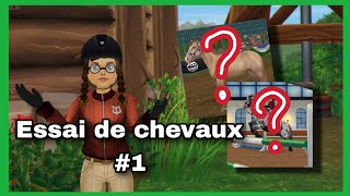 StarStable RP  Jessaye des chevaux Futur Achat 1 [upl. by Sinclair456]