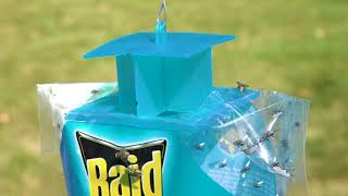 FlyFree Zone Raid Disposable Fly Trap Demo  Your Trusted Pest Solution [upl. by Hafirahs]