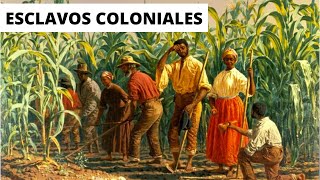 ¿COMO ERA la VIDA de un ESCLAVO en la ÉPOCA COLONIAL [upl. by Moselle682]