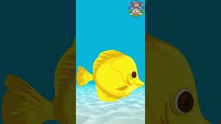 Learn Colors with fish  Colors for Children  learn Colors with rainbow fish  What Color Is It [upl. by Aivle]