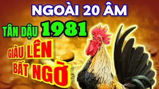 Ngoài 20 âm Tân Dậu 1981 vấp trúng hố vàng Giàu lên bất ngờ [upl. by Cohe]