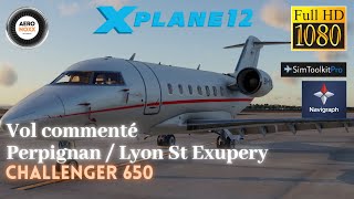 XP12 Vol commenté Challenger 650 Perpignan  Lyon sur IVAO [upl. by Ociredef]