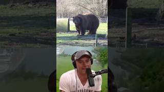 Joe Rogans JawDropping Reaction to a Short Faced Bear 🐻 [upl. by Egidio186]