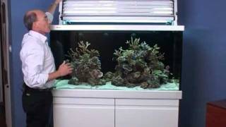 Red Sea MAX SLine marine and coral reef aquarium systems [upl. by Siram]