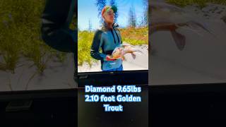 Big Golden Trout in The Angler shorts roadto100subs fishing fish bigfish [upl. by Tsan]