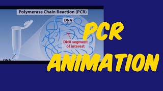 PCR Animation [upl. by Aleinad153]