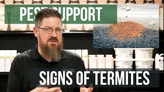 What Are Visible Signs of Termites  Pest Support [upl. by Hairakcaz]