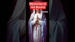 Did you know that the Luminous mysteries was a recent addition to the rosary holyrosary shorts [upl. by Rozele]