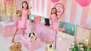 Playing with pets at home Pink Dog Cafe [upl. by Urana768]