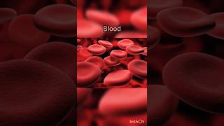 Blood amp its components  Blood plasma  Blood cells blood plasma RBC WBC Platelets shorts [upl. by Sirtemed]