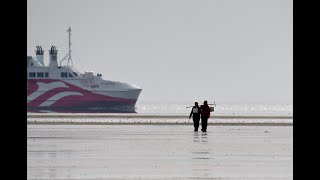 Vadehavet The Wadden Sea [upl. by Mohr456]