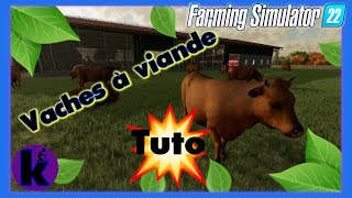 Tuto vaches farming simulator 22🐮😁Guide vaches à viandes Fs22🚜Faire beaucoup dargent avec les vache [upl. by Karna15]