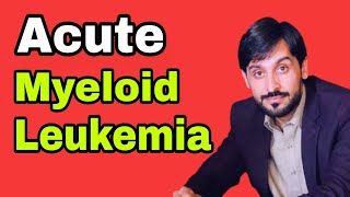 Acute Myeloid Leukemia  AML  MLT Hub with kamran [upl. by Sharla]