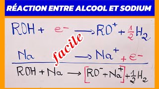 ALCOOL RÉACTION [upl. by Frear]