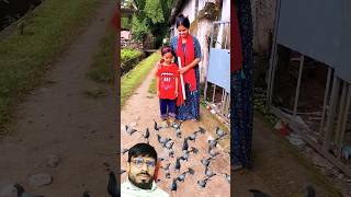 Kabutaro ko dana dalen love baby funny cutebaby cute kgfchapter2 music kgf song bollywood [upl. by Yerbua700]