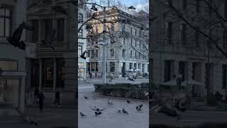 Zürich Stadelhofen Bahnhof foryou travel switzarland viewsviralvideosubscribersgro winter [upl. by Yehs]