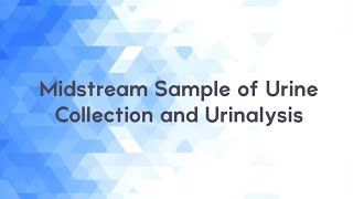 Midstream Sample of Urine Collection and Urinalysis [upl. by Tine]