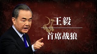 王毅：首席战狼！｜习近平 ｜温家宝 ｜胡耀邦 ｜江泽民｜赵立坚 ｜华春莹 ｜耿爽 ｜卢沙野 [upl. by Ken]