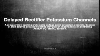 Medical vocabulary What does Delayed Rectifier Potassium Channels mean [upl. by Drofliw]