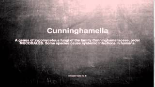 Medical vocabulary What does Cunninghamella mean [upl. by Bernete]