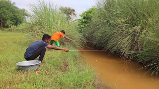 Fishing Video🐠🎣  I would not have believed if I had not seen so many fish in the village canal [upl. by Ahker]