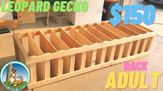 How to build a LEOPARD gecko RACK  150  ADULT  2021 [upl. by Borries]