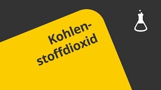 Kohlenstoffdioxid der Nachweis  Chemie  Analytische Chemie [upl. by Ydissak]