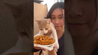 Topokki mukbang 🥰 [upl. by Nosreh]