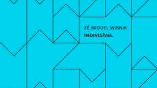 Zé Miguel Wisnik  Track 10  Acalanto CD INDIVISÍVEL  CD2 [upl. by Ydoc913]