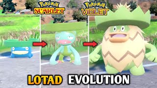 How To Evolve Lotad Into Lombre amp Ludicolo In Pokemon Scarlet amp Violet  The Teal Mask DLC [upl. by Novello]