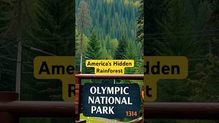 America’s Hidden Rainforest HohRainForest OlympicNationalPark NatureLovers USGeography shorts [upl. by Yentterb]