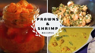 Prawns And Shrimp Recipes  Chilly Garlic Prawns  Prawns Caldeen  Prawns Pickle [upl. by Aicirtan]