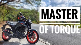 Yamaha MT03  Master of Torque [upl. by Coopersmith552]