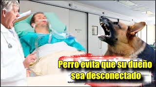 Perro evita que su dueño sea desconectado y todos se sorprenden La razón te hará llorar [upl. by Corin]