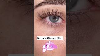 SERUM DE PESTAÑAS BAKA BAKA 🐮💕 bakabakamx lash pestañas beauty shortvideo shorts [upl. by Ranjiv]