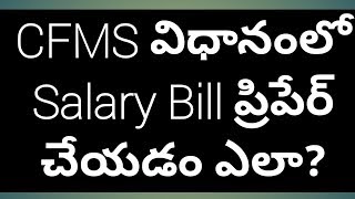 CFMS Salary Bill Preparation Video  How to Prepare Salary Bills in CFMS [upl. by Katt696]