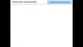 seminario 5 Pt1  Generalidades de Helmintos y Helmintos intestinales [upl. by Johann]